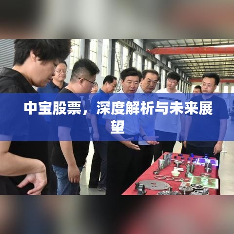 中寶股票，深度解析與未來(lái)展望
