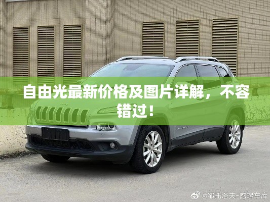 自由光最新價格及圖片詳解，不容錯過！