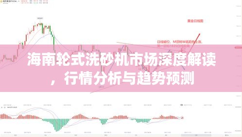 海南輪式洗砂機(jī)市場深度解讀，行情分析與趨勢預(yù)測