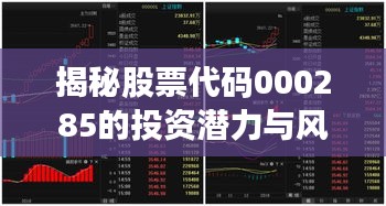揭秘股票代碼000285的投資潛力與風(fēng)險控制策略，股票深度解析