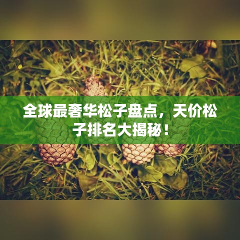 全球最奢華松子盤點(diǎn)，天價(jià)松子排名大揭秘！