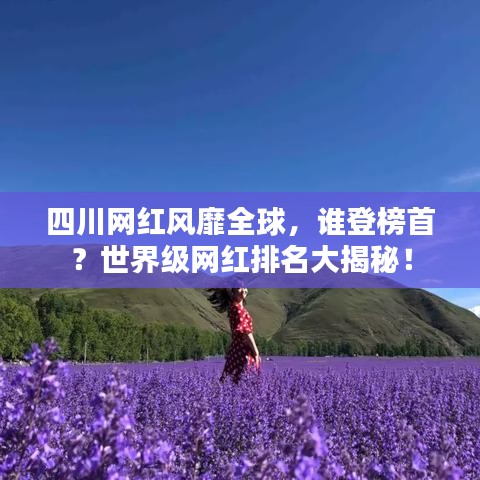 四川網(wǎng)紅風(fēng)靡全球，誰(shuí)登榜首？世界級(jí)網(wǎng)紅排名大揭秘！