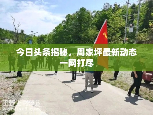 今日頭條揭秘，周家坪最新動態(tài)一網(wǎng)打盡