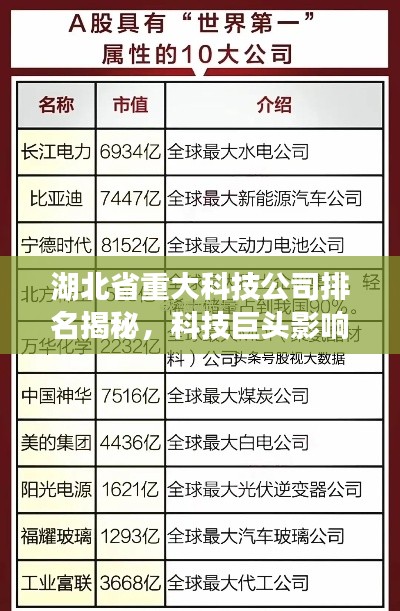 湖北省重大科技公司排名揭秘，科技巨頭影響力與實力解析