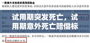 試用期突發(fā)死亡，試用期意外死亡賠償標(biāo)準(zhǔn)2020 