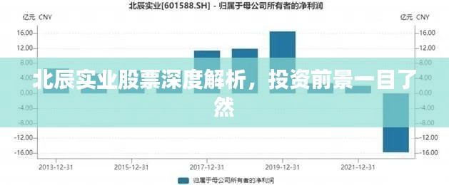 北辰實(shí)業(yè)股票深度解析，投資前景一目了然