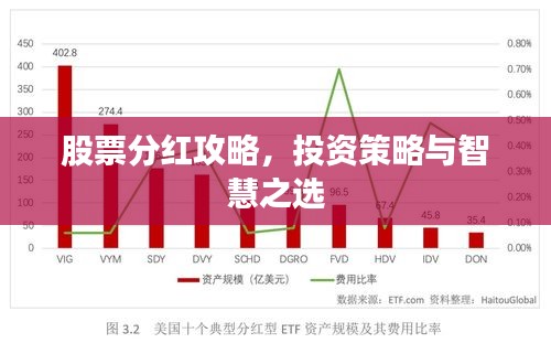 股票分紅攻略，投資策略與智慧之選