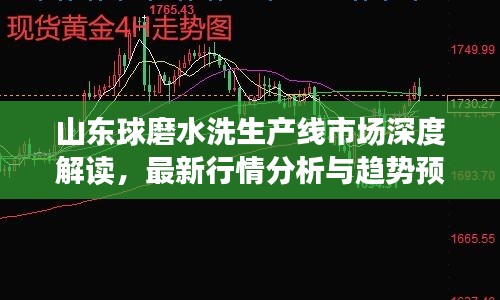 山東球磨水洗生產(chǎn)線市場深度解讀，最新行情分析與趨勢預(yù)測