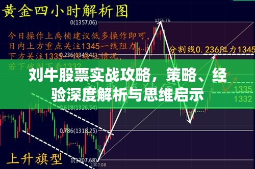 劉牛股票實(shí)戰(zhàn)攻略，策略、經(jīng)驗(yàn)深度解析與思維啟示