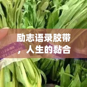 勵(lì)志語(yǔ)錄膠帶，人生的黏合劑，引領(lǐng)你走向成功之路