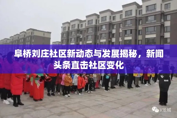 阜橋劉莊社區(qū)新動(dòng)態(tài)與發(fā)展揭秘，新聞?lì)^條直擊社區(qū)變化