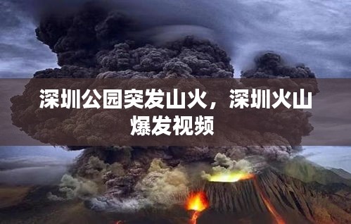 深圳公園突發(fā)山火，深圳火山爆發(fā)視頻 