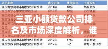 三亞小額貸款公司排名及市場(chǎng)深度解析，誰(shuí)是行業(yè)佼佼者？