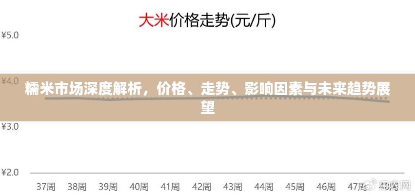 糯米市場深度解析，價格、走勢、影響因素與未來趨勢展望