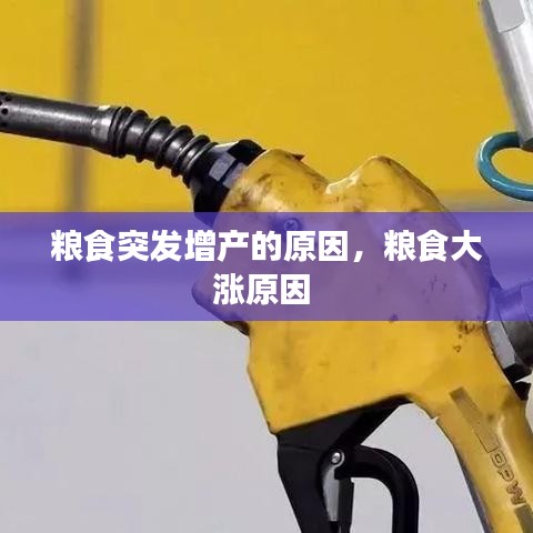 糧食突發(fā)增產(chǎn)的原因，糧食大漲原因 