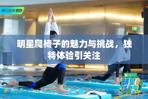 明星爬椅子的魅力與挑戰(zhàn)，獨(dú)特體驗(yàn)引關(guān)注