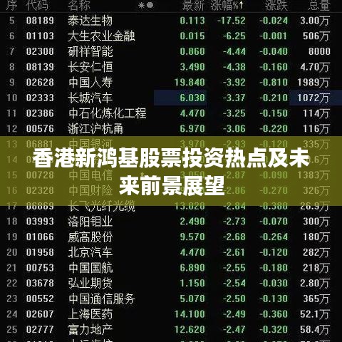 香港新鴻基股票投資熱點(diǎn)及未來(lái)前景展望