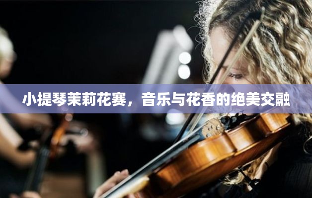 小提琴茉莉花賽，音樂與花香的絕美交融