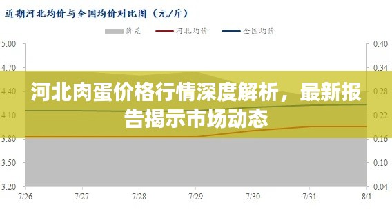 河北肉蛋價格行情深度解析，最新報告揭示市場動態(tài)