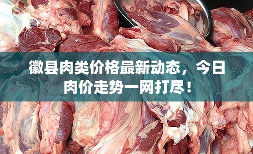 徽縣肉類價格最新動態(tài)，今日肉價走勢一網(wǎng)打盡！