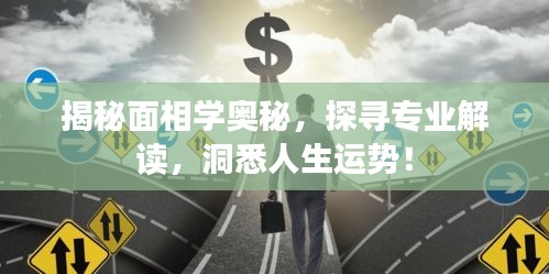 揭秘面相學奧秘，探尋專業(yè)解讀，洞悉人生運勢！