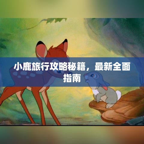 小鹿旅行攻略秘籍，最新全面指南