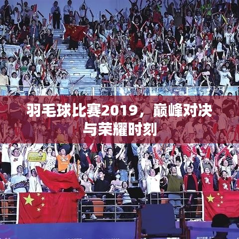羽毛球比賽2019，巔峰對(duì)決與榮耀時(shí)刻