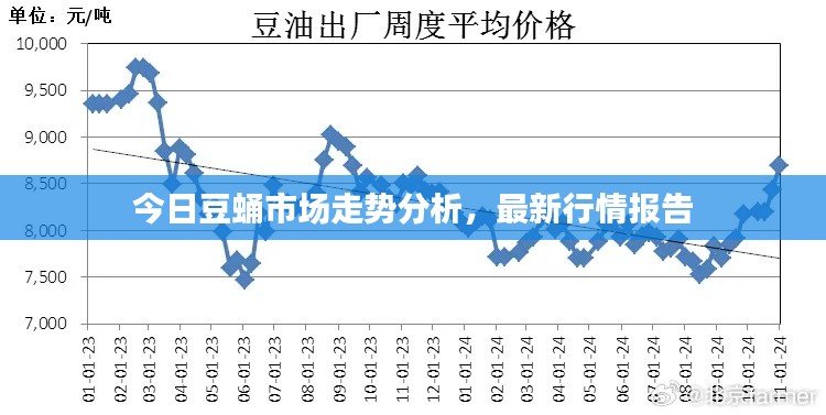 今日豆蛹市場走勢分析，最新行情報(bào)告