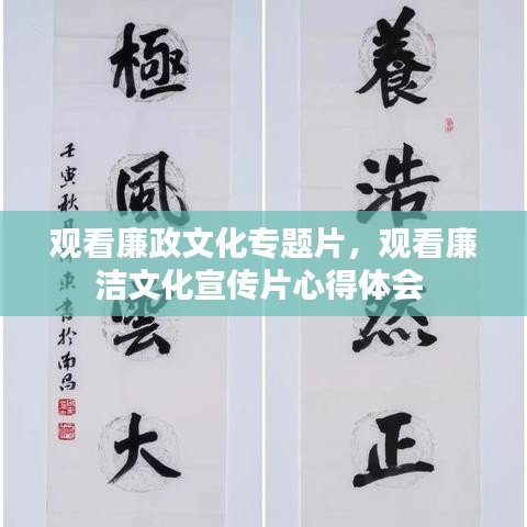 觀看廉政文化專題片，觀看廉潔文化宣傳片心得體會 