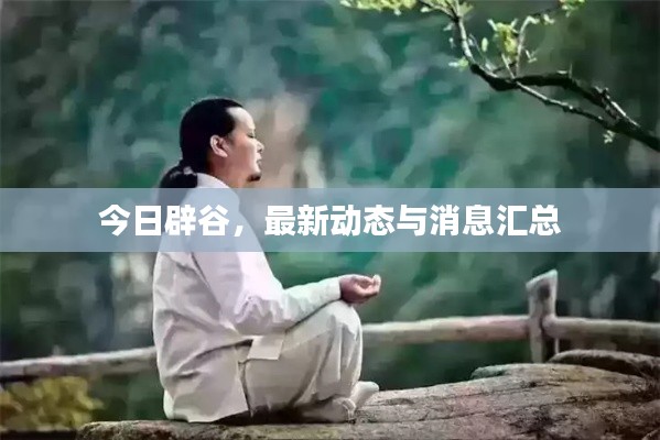 今日辟谷，最新動態(tài)與消息匯總