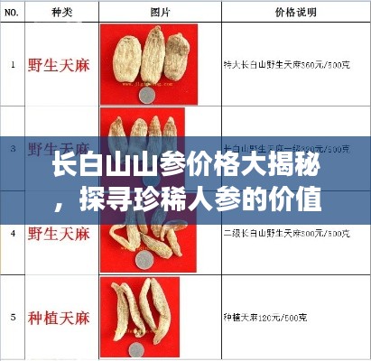 長白山山參價格大揭秘，探尋珍稀人參的價值表
