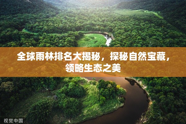 全球雨林排名大揭秘，探秘自然寶藏，領(lǐng)略生態(tài)之美