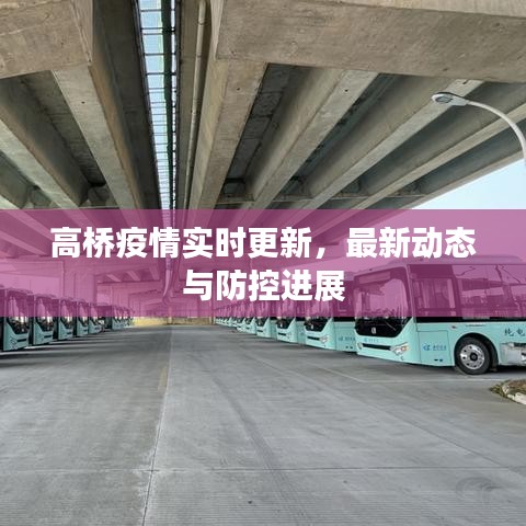 高橋疫情實(shí)時(shí)更新，最新動(dòng)態(tài)與防控進(jìn)展