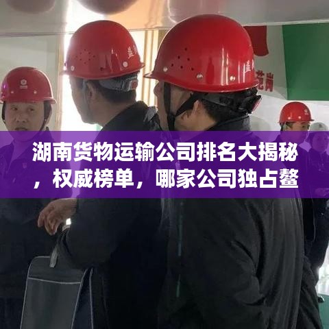 湖南貨物運(yùn)輸公司排名大揭秘，權(quán)威榜單，哪家公司獨(dú)占鰲頭？