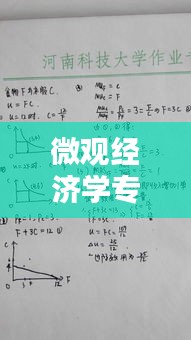 微觀經(jīng)濟(jì)學(xué)專題論述題型，微觀經(jīng)濟(jì)學(xué)期末考試論述題 