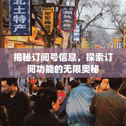 揭秘訂閱號信息，探索訂閱功能的無限奧秘