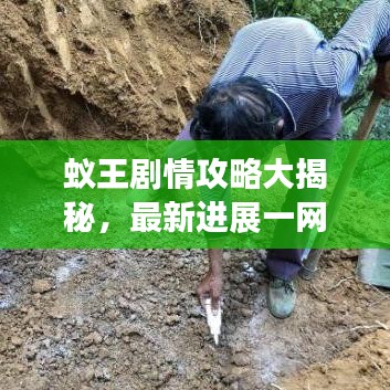 蟻王劇情攻略大揭秘，最新進(jìn)展一網(wǎng)打盡！