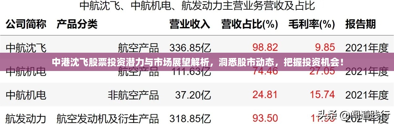 中港沈飛股票投資潛力與市場展望解析，洞悉股市動態(tài)，把握投資機會！