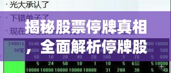 揭秘股票停牌真相，全面解析停牌股票影響及查詢攻略
