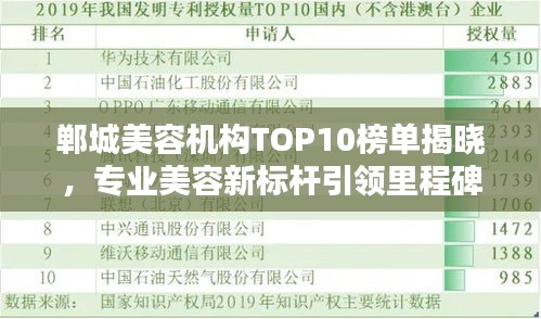 鄲城美容機構(gòu)TOP10榜單揭曉，專業(yè)美容新標(biāo)桿引領(lǐng)里程碑