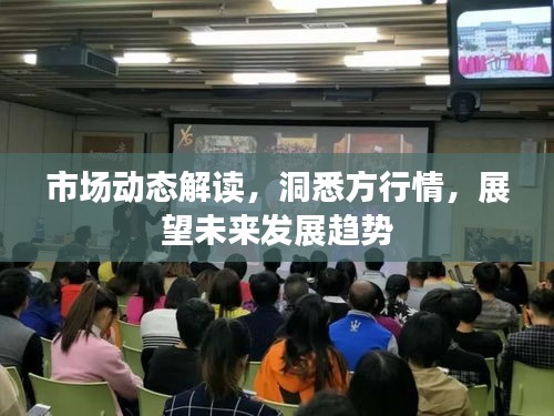 市場(chǎng)動(dòng)態(tài)解讀，洞悉方行情，展望未來(lái)發(fā)展趨勢(shì)