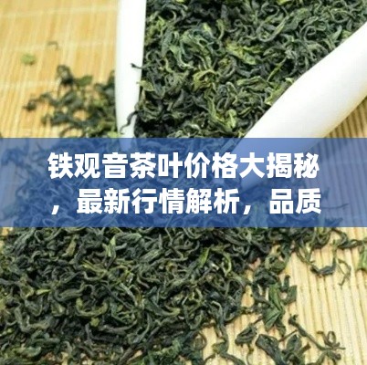 鐵觀音茶葉價(jià)格大揭秘，最新行情解析，品質(zhì)與價(jià)格雙重保障！
