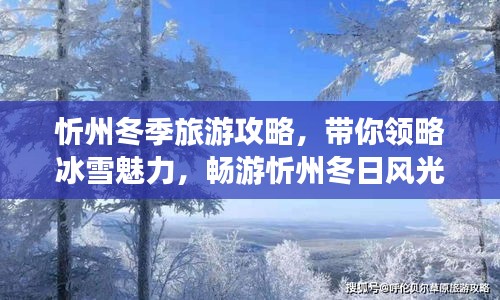 忻州冬季旅游攻略，帶你領(lǐng)略冰雪魅力，暢游忻州冬日風(fēng)光！