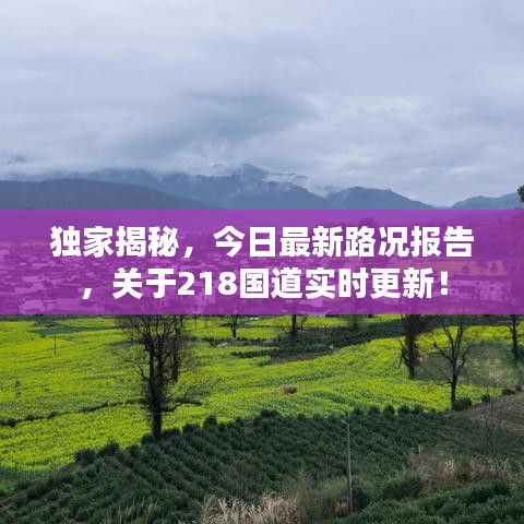 獨(dú)家揭秘，今日最新路況報(bào)告，關(guān)于218國道實(shí)時(shí)更新！