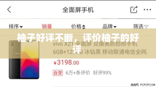 柚子好評不斷，評價柚子的好評 