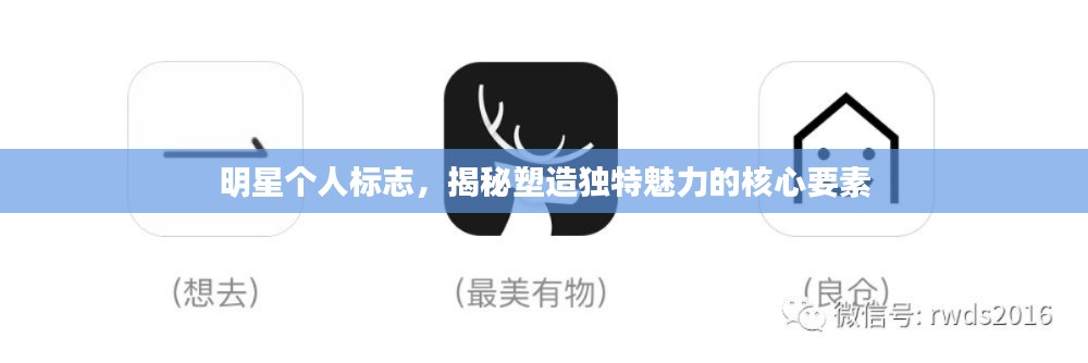 明星個(gè)人標(biāo)志，揭秘塑造獨(dú)特魅力的核心要素