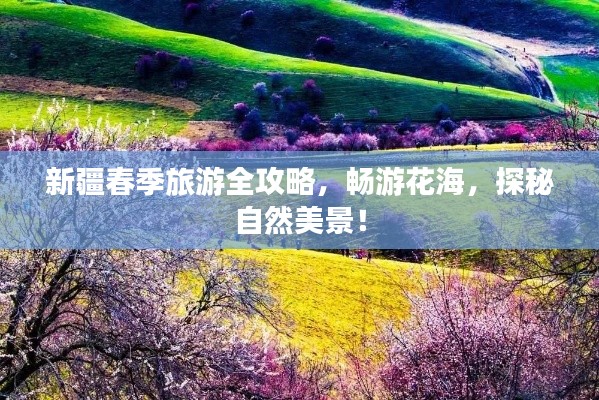 新疆春季旅游全攻略，暢游花海，探秘自然美景！
