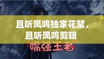 且聽鳳鳴獨家花絮，且聽鳳鳴剪輯 