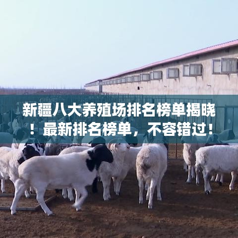 新疆八大養(yǎng)殖場(chǎng)排名榜單揭曉！最新排名榜單，不容錯(cuò)過(guò)！
