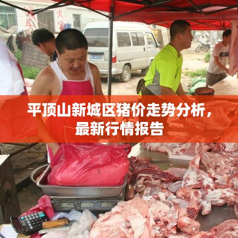 平頂山新城區(qū)豬價(jià)走勢(shì)分析，最新行情報(bào)告